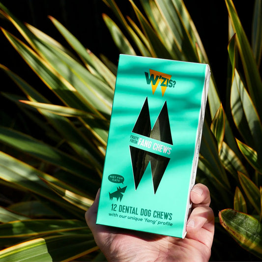 W'Zis Fruity Fresh Fang Chew