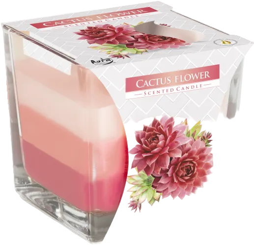 Cactus Flower Scented Rainbow Jar Candle