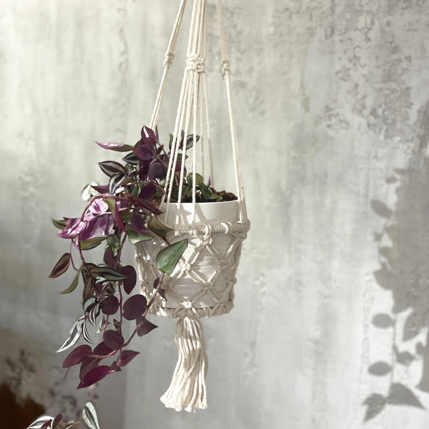 Macrame Pot Holder