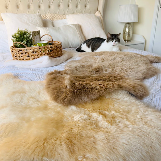 Sheepskin Single Hide