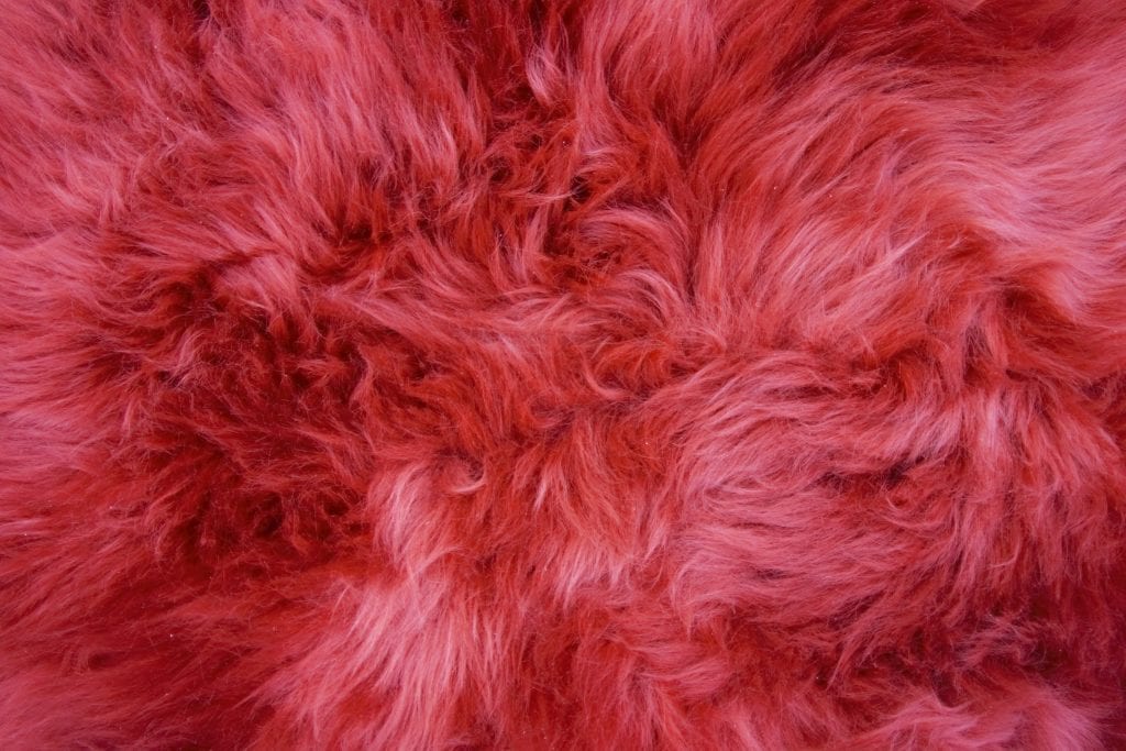 Sheepskin Single Hide